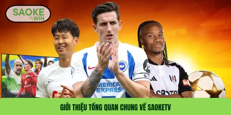 Giới thiệu tổng quan chung về SaokeTV