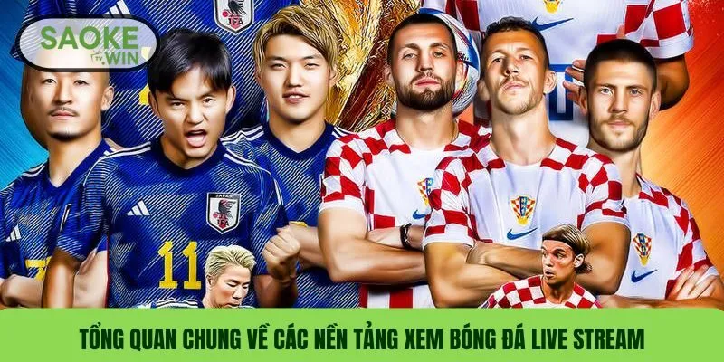Tổng quan chung về các nền tảng xem bóng đá live stream